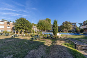 Communal Gardens- click for photo gallery